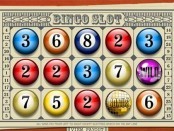 bingo caça niqueis